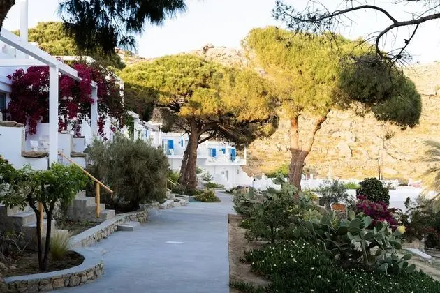 Standard Oda, Deniz Manzaralı