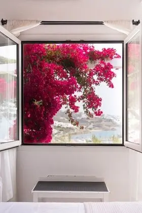 Standard Oda, Deniz Manzaralı