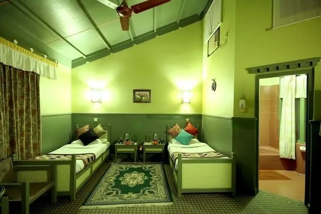 Deluxe Tek Kişilik Oda, 1 Yatak Odası