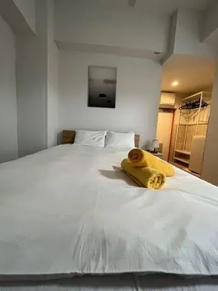 Tek Büyük Yataklı Oda ( 301 )