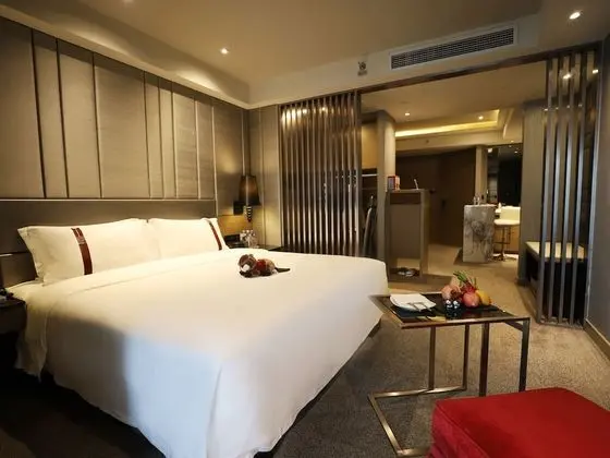 Deluxe Tek Büyük Yataklı Oda (G50)
