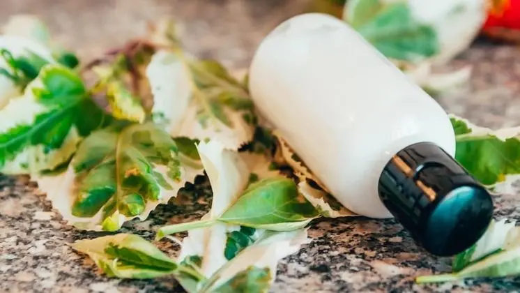 Kır Evi, Engellilere Uygun, Göl Manzaralı