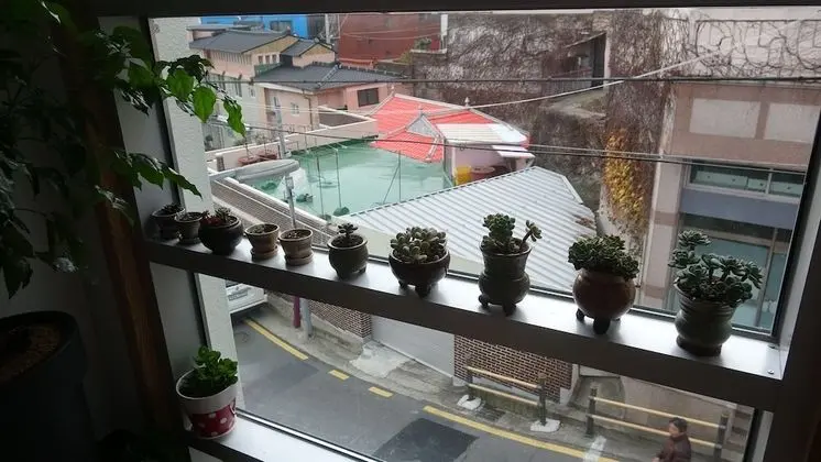 Standard Oda (#2, Foreigner Only)