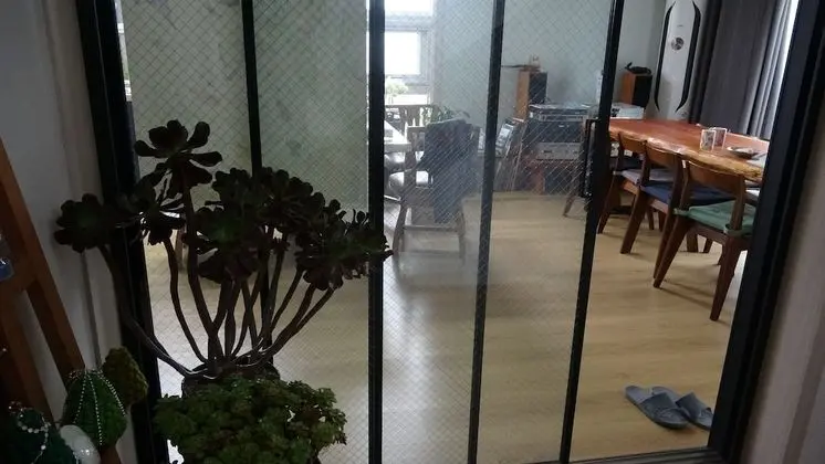 Standard Oda (#2, Foreigner Only)