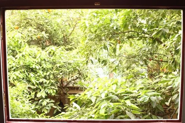 Premium Süit, Şömine