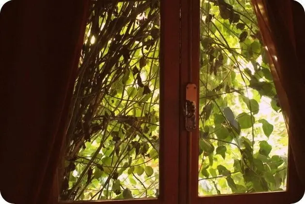 Premium Süit, Şömine