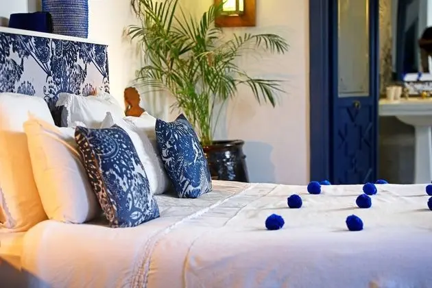 Superior Süit, 1 Yatak Odası, Banyolu/Duşlu, Avlu