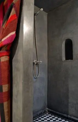 Standard Oda (myrtille)