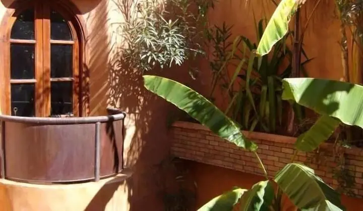 Superior Oda, 1 Yatak Odası