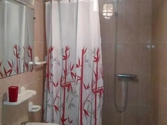 Tek Büyük Yataklı Oda, Banyolu/Duşlu (Privée)