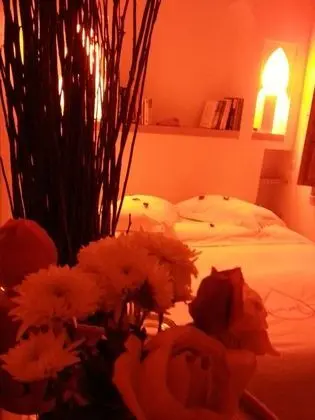 Tek Büyük Yataklı Oda, Sigara İçilmez (Orange)