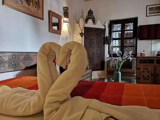 Standard Oda, Veranda (Ayoub)