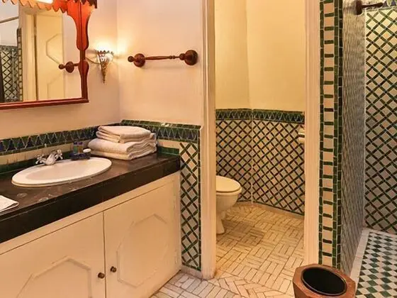 Superior Büyük Yataklı Tek Kişilik Oda, Özel Banyo, Bahçe Manzaralı