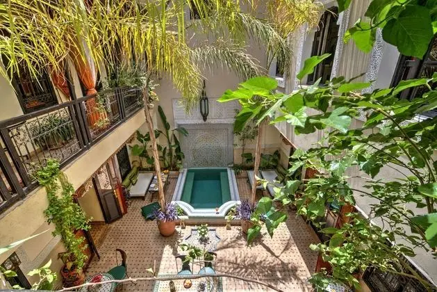 Family Oda (Smarine)