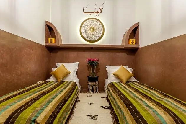 Standard Tek Büyük veya İki Ayrı Yataklı Oda, Özel Banyo (Kamelia)