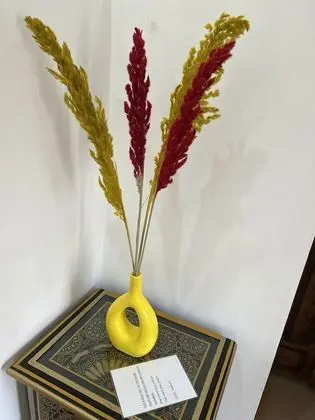 chambre premium (la Royale)