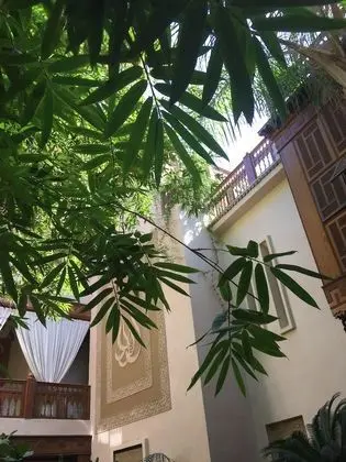 Süit (Privilège Rubis)