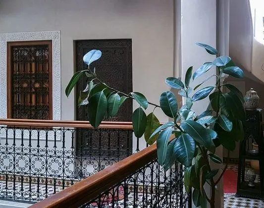 Chambre Double ( Tafoukte )