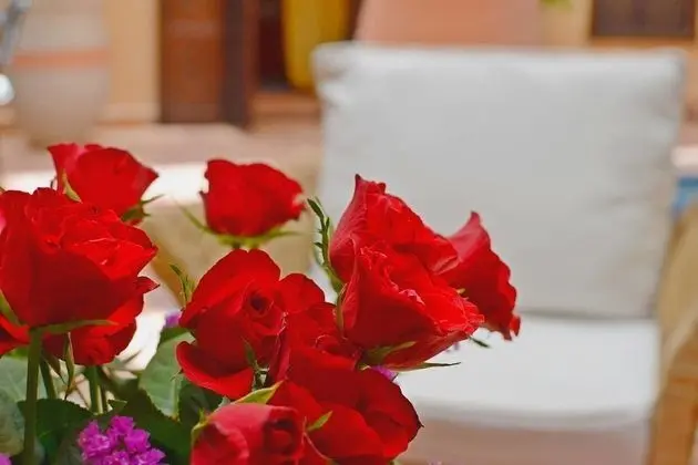 Romantic Tek Büyük Yataklı Oda