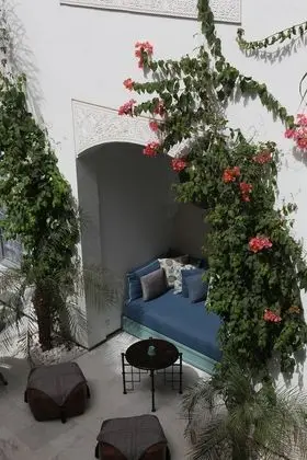 Executive Oda (Amal)