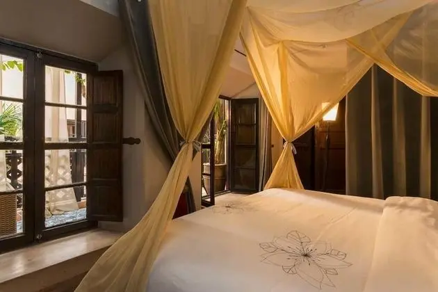 Superior Tek Büyük veya İki Ayrı Yataklı Oda, Banyolu/Duşlu, Avlu Manzaralı