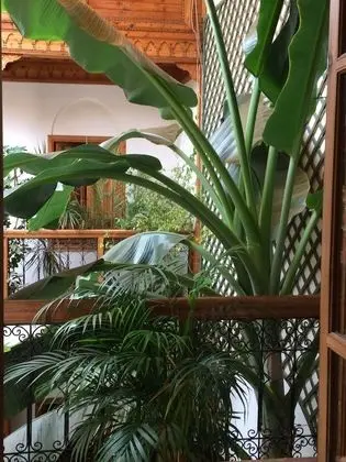 Romantic Süit (Essaouira)