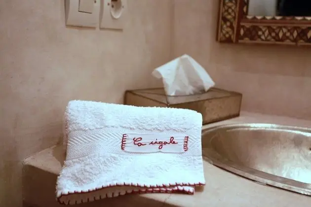 Tek Büyük Yataklı Oda (The Laziza Double Room)