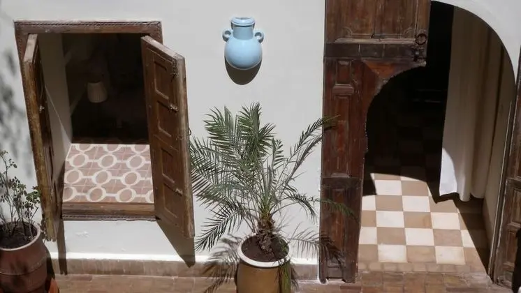 Standard Oda (Fossil)