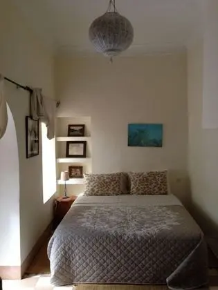 Standard Oda (Fossil)