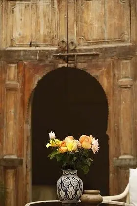 Standard Oda (Fossil)