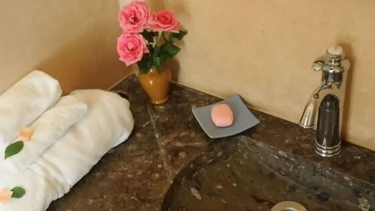 Standard Oda (Fossil)