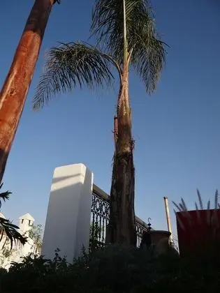 Deluxe Üç Kişilik Oda, Özel Banyo (ZAIRA)