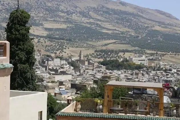 Junior Süit, 1 Yatak Odası