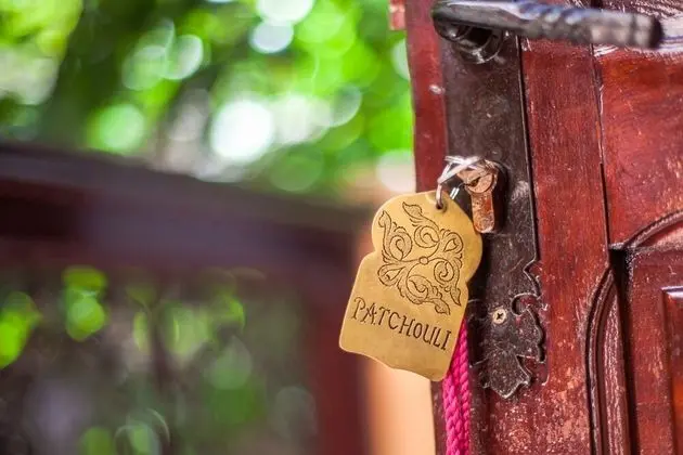 Tek Büyük Yataklı Oda (Jasma)