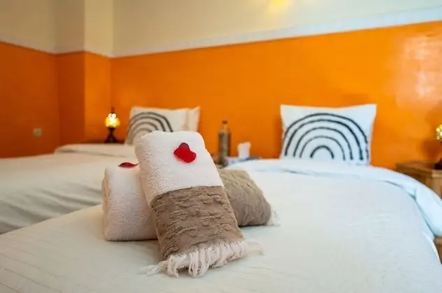 Superior Tek Büyük veya İki Ayrı Yataklı Oda, Banyolu/Duşlu