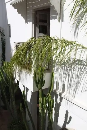Exclusive Ev, Birden Çok Yatak Odası, Sıcak Su Küveti, Şehir Manzaralı (Riad O2+)