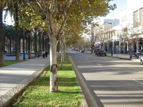 Oda, 1 Yatak Odası, Engellilere Uygun, Balkon