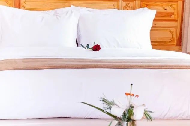 Superior Tek Büyük Yataklı Oda, 1 Büyük (Queen) Boy Yatak, Bahçe Manzaralı, Bahçeli