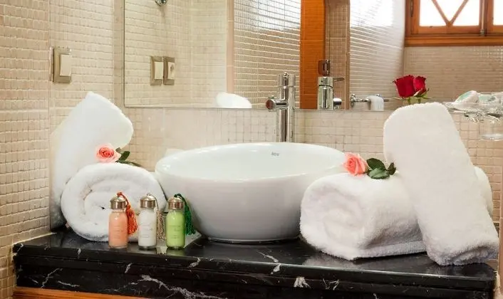 Superior Tek Büyük Yataklı Oda, 1 Büyük (Queen) Boy Yatak, Bahçe Manzaralı, Bahçeli