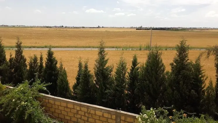Dört Kişilik Oda