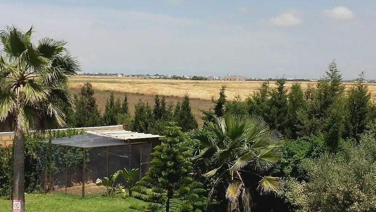 Panoramic Stüdyo Süit