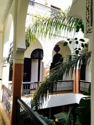 Classic Oda (supp 2)