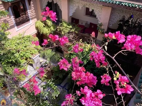 Gallery Tek Büyük Yataklı Oda (Romantic)