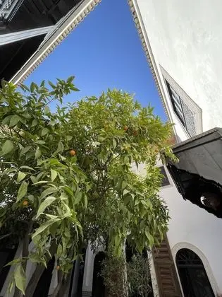 Deluxe Tek Büyük Yataklı Oda, 1 Büyük (Queen) Boy Yatak, Bahçeli