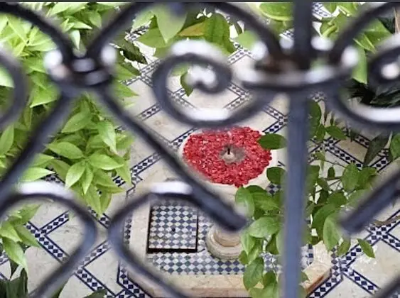 Deluxe Tek Büyük Yataklı Oda (Jasmin)