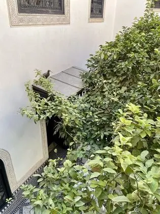 Deluxe Tek Büyük Yataklı Oda (Volubilis)