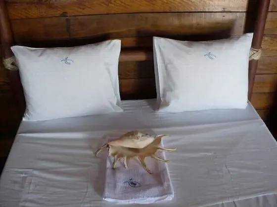 Comfort Bungalov