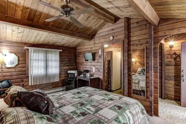 Deluxe Tek Kişilik Oda, 1 Büyük (Queen) Boy Yatak, Sigara İçilmez