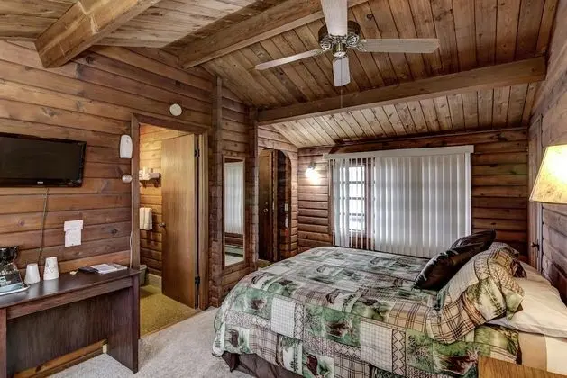 Deluxe Tek Kişilik Oda, 1 Büyük (Queen) Boy Yatak, Sigara İçilmez