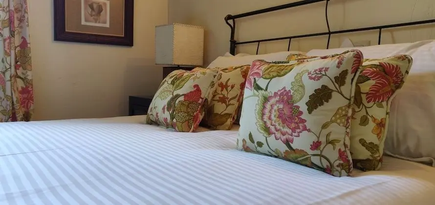 Standard Bungalov, 1 Yatak Odası